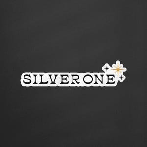 Silver One, Fourth Wing Quote Sticker, Tairn Quote, Fourth Wing Dragon Sticker, Fantasy Sticker for Kindle, Xaden Quote Sticker, Onyx Storm