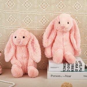 パーソナライズされたぬいぐるみウサギ、モノグラムウサギ、刺繍ウサギ、イースターギフト、ぬいぐるみ、新生児ギフト、長い耳のウサギ