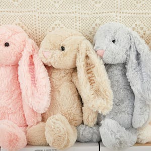 Può includere: Quattro coniglietti di peluche dai colori pastello: rosa, beige, grigio e crema. Ogni coniglio ha lunghe orecchie flosce, un naso rosa e dettagli ricamati. Il coniglietto beige ha il nome "Annie" ricamato sull'orecchio.