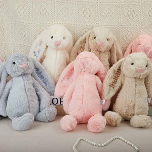 Op de afbeelding: Een verzameling van zes pluche konijnen in verschillende pastelkleuren, waaronder grijs, wit, roze en beige. Elk konijn heeft lange, slappe oren, een roze neus en geborduurde details. Sommige konijnen hebben namen op hun oren.