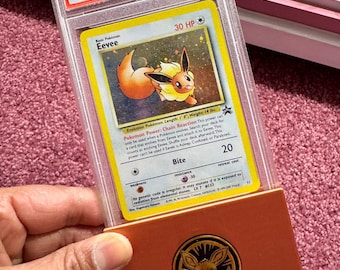 Soporte para monedas y cartas TGC. Exhibidor para cartas coleccionables con fundas rígidas.