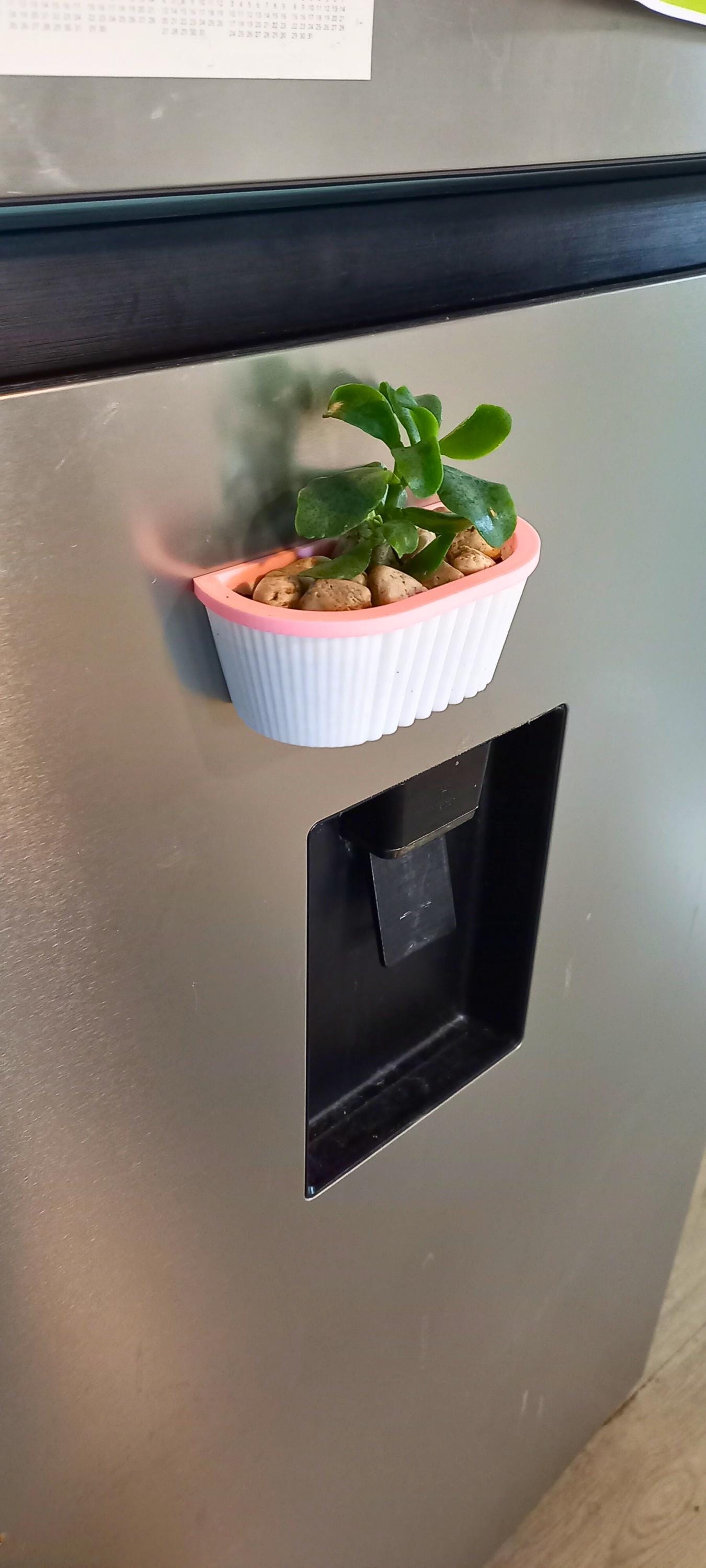 Magnetic Planter- Fridge Magnet - Pot Home Decor. 3D Printed - Etsy
