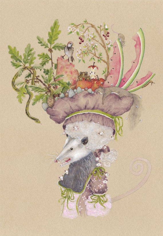 Virginia Opossum Cards French Possum Cards Marsupial Cards Etsy