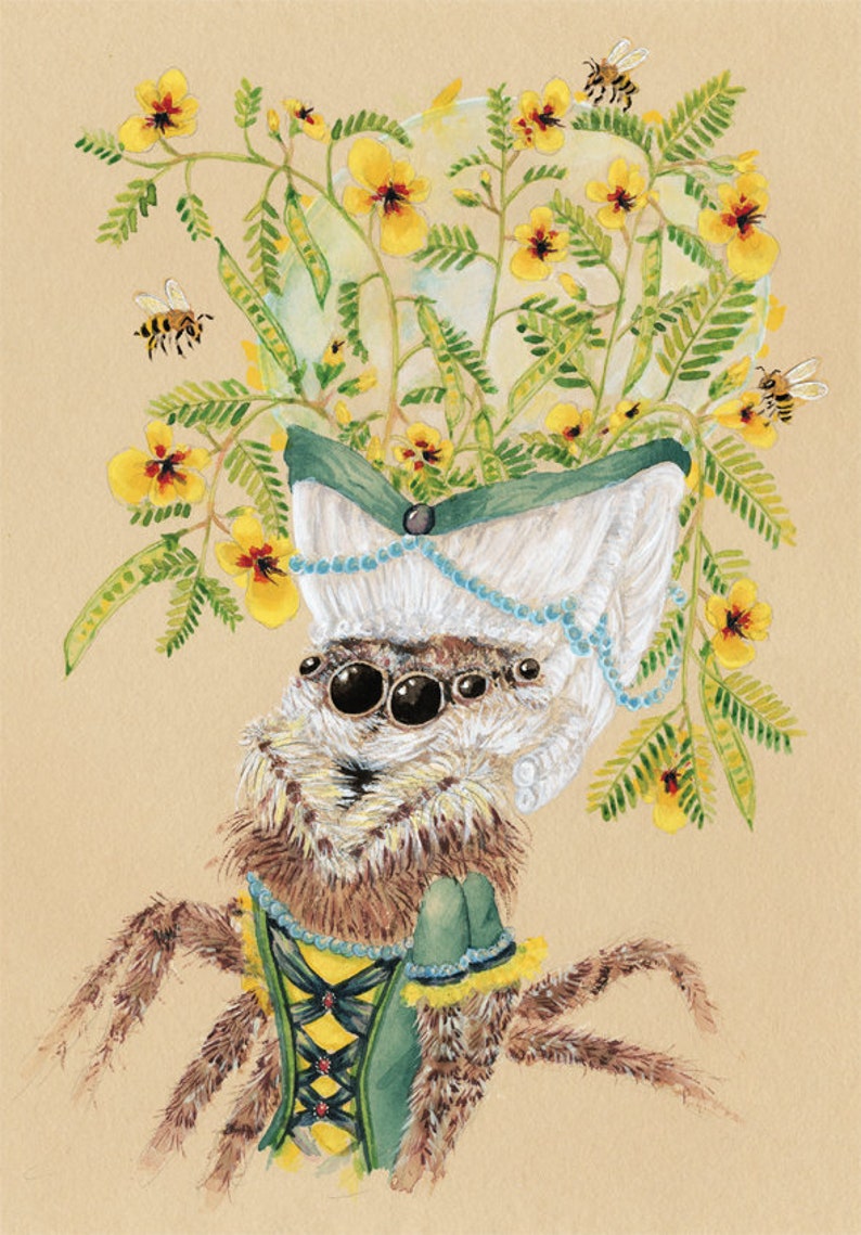 Spider Cards Wildflower Cards Bees Cards Honeybee Cards Cool Nature Cards Unique Nature Cards Spider Thank You Spider Invitation image 1