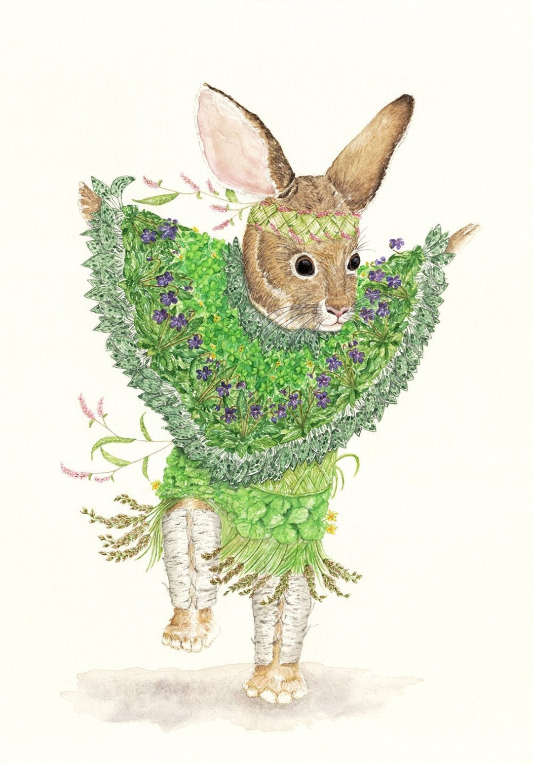 Cottontail Rabbit Card New England Cottontail Rabbit Dressed in a Style Worn by the Wampanoag ...