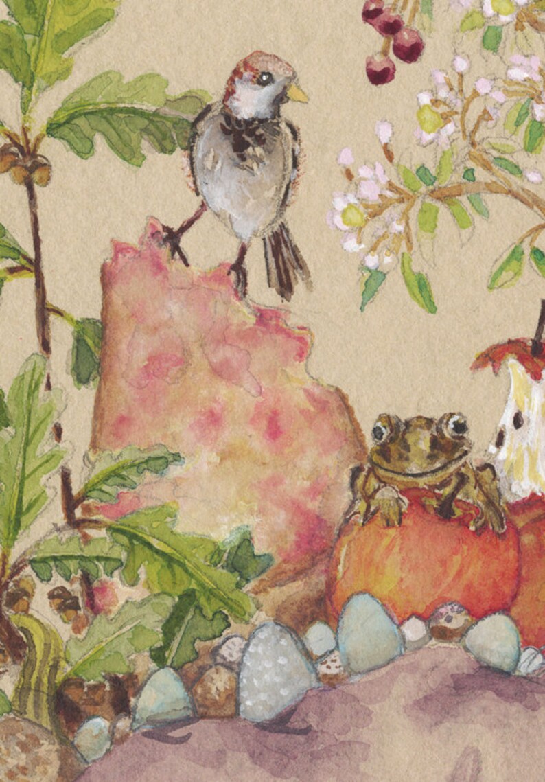 May include: A watercolor painting of a sparrow perched on a rock, a frog sitting on an apple, and a branch with green leaves and pink flowers. The background is a light brown paper.