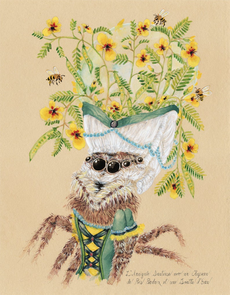 Arachnid Jumping Spider Print for Spider Lover Art Bee Art Pretty Spider Gift Spider and Flower Print Entomology Gift Nature Wildflower Gift image 2