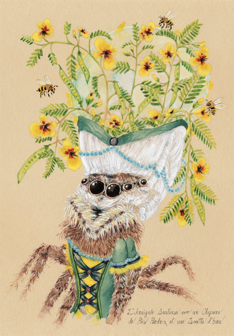 Spider Cards Wildflower Cards Bees Cards Honeybee Cards Cool Nature Cards Unique Nature Cards Spider Thank You Spider Invitation image 2