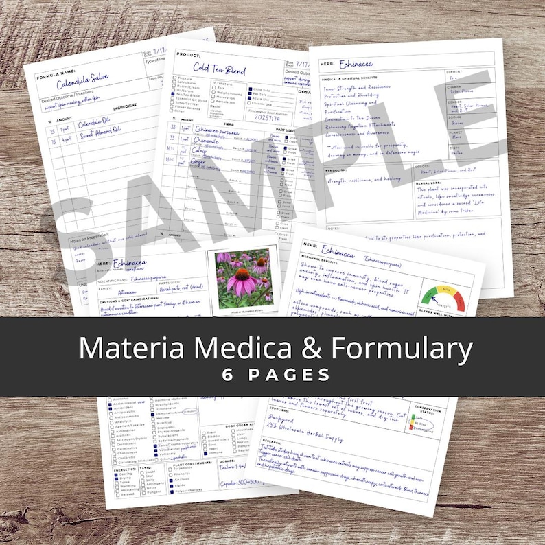 K&ouml;nnte beinhalten: Eine Sammlung handgeschriebener Materia Medica & Formulary-Seiten mit detaillierten Notizen, Diagrammen und den Texten "Calendula Salve" und "Cold Tea Blend". Das Bild enth&auml;lt ein Foto einer lila Sonnenhutblume und den Text "Echinacea".