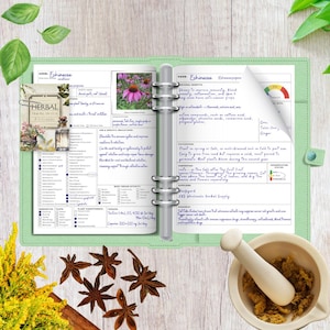 K&ouml;nnte beinhalten: Ein offener, hellgr&uuml;ner Ordner mit Kr&auml;uterinformationen, einschlie&szlig;lich Text &uuml;ber Echinacea. Getrockneter Sternanis, ein M&ouml;rser und St&ouml;&szlig;el sowie gelbe Blumen sind um den Ordner herum angeordnet.