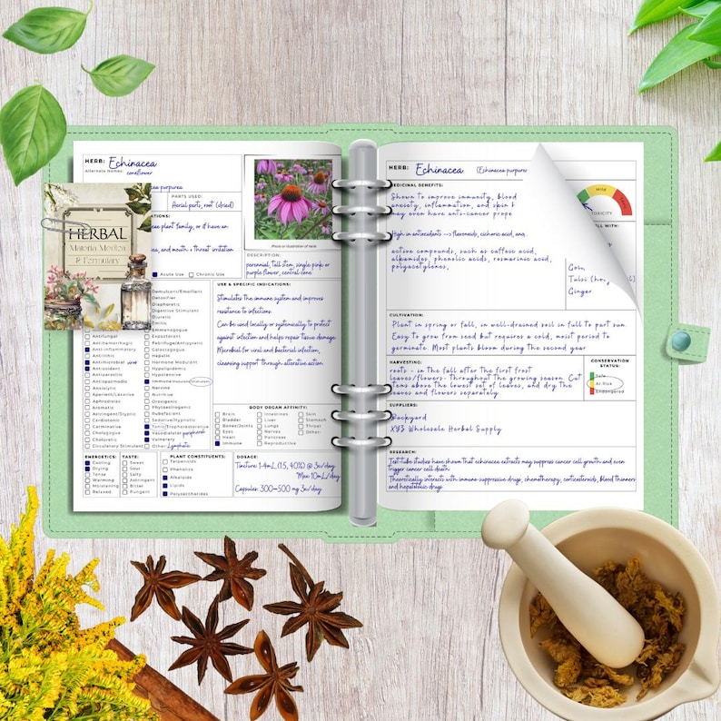 K&ouml;nnte beinhalten: Ein offener, hellgr&uuml;ner Ordner mit Kr&auml;uterinformationen, einschlie&szlig;lich Text &uuml;ber Echinacea. Getrockneter Sternanis, ein M&ouml;rser und St&ouml;&szlig;el sowie gelbe Blumen sind um den Ordner herum angeordnet.