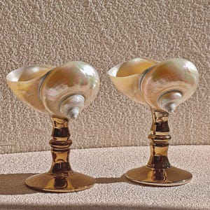 Beach Wedding Gift, Custom Name Natural Conch Cups, Unique conch gold cup, Shell Cups,Wine Glasses, Exquisite Decorative, Martini Glasses