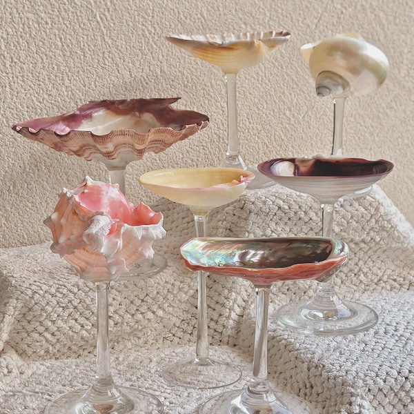 Seashell Wine Glasses, Shell Martini Glasses, Wedding Bridesmaid Gift, Birthday Gift Bachelorette Party, Wedding Anniversary Gift 2026