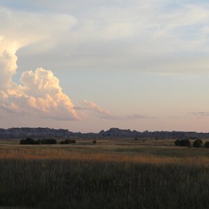 May include: A wide shot of a grassy field with a distant mountain range in the background. A large, fluffy white cloud hangs in the sky above the field.
