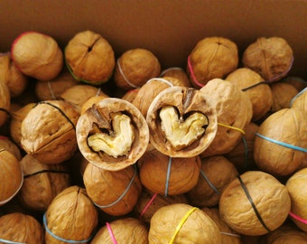 Walnut Shells For Crafts, Beautiful Walnut Shell Halves For Decoration, Different Sizes and Quantities, Organic Craft And Art Supplies