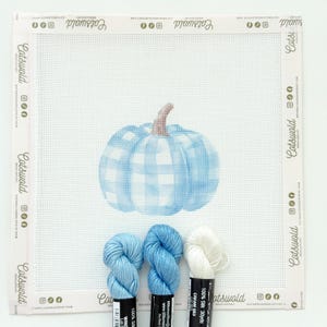 Könnte beinhalten: Nadelspitzen-Leinwand mit einem blau-weiß karierten Kürbismotiv. Drei Stränge Seidenfaden in Hellblau und Creme sind enthalten. Der Hintergrund ist weiß.