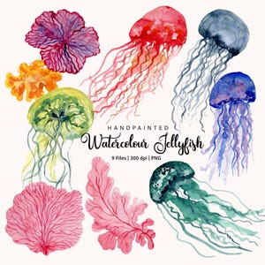 Watercolor Jellyfish Clipart: Colorful Sea Creatures PNG (Digital Download)