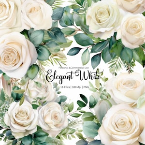 Aquarell weiße Rosen Clipart, vorgefertigte Sträuße, creme Blumenstrauß, Elfenbein Blumen, Kranz PNG, Hochzeit Clipart, digitaler Download