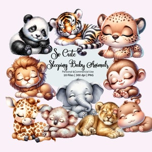 Dormir bébé animaux Clipart, Clipart animaux mignons, animaux de la jungle Png, doux bébé lion, tigre, éléphant, panda, koala PNG, clipart chambre d'enfant