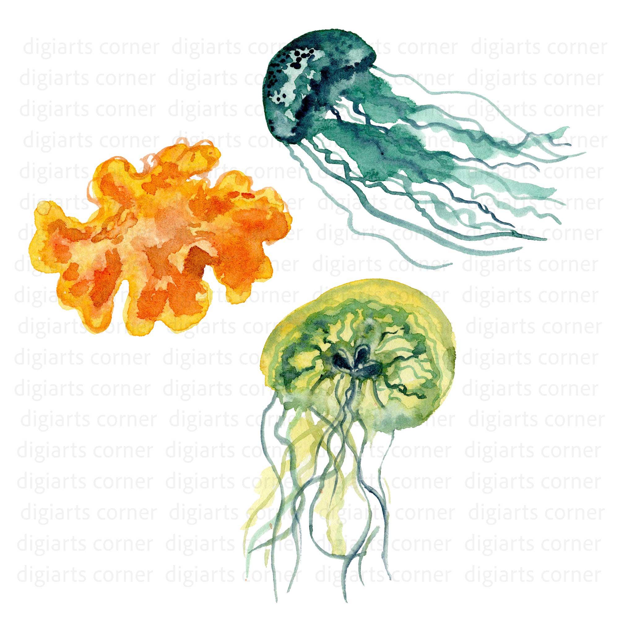 Watercolor Jellyfish Clipart, Colourful Jellyfish PNG File, Coral PNG ...
