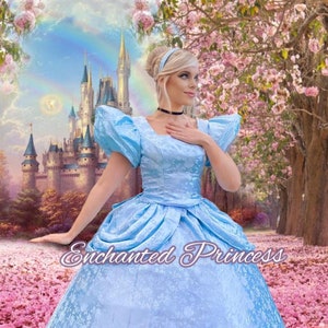 Cinderella Inspired Ballgown Dress, Princess Cosplay, Halloween Costume, Cinderella Blue Dress, Adult Costume Dress, Princess Ballgown
