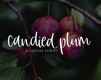 CANDIED PLUM / whimsical font / script font / handlettered font / OTSS / bounce script / calligraphy
