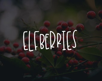 ELFBERRIES / whimsical font / script font / handlettered font / OTSS / bounce script / calligraphy