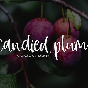 CANDIED PLUM / whimsical font / script font / handlettered font / OTSS / bounce script / calligraphy