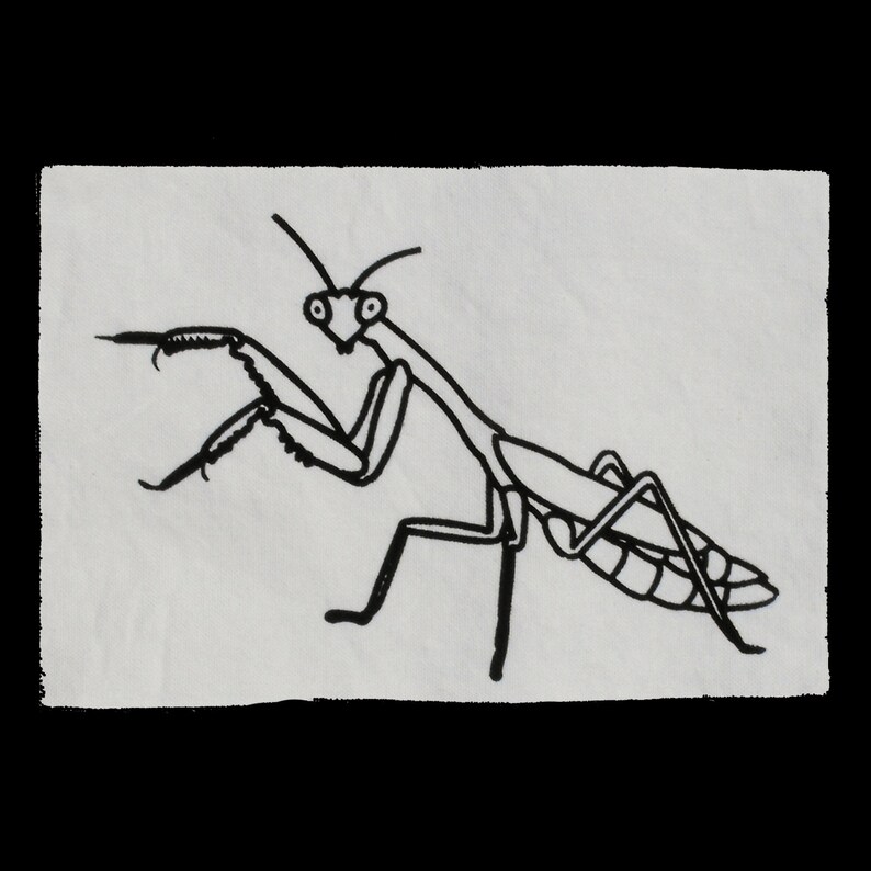 Op de afbeelding: Een zwart-witte lijntekening van een bidsprinkhaan op een witte achtergrond.