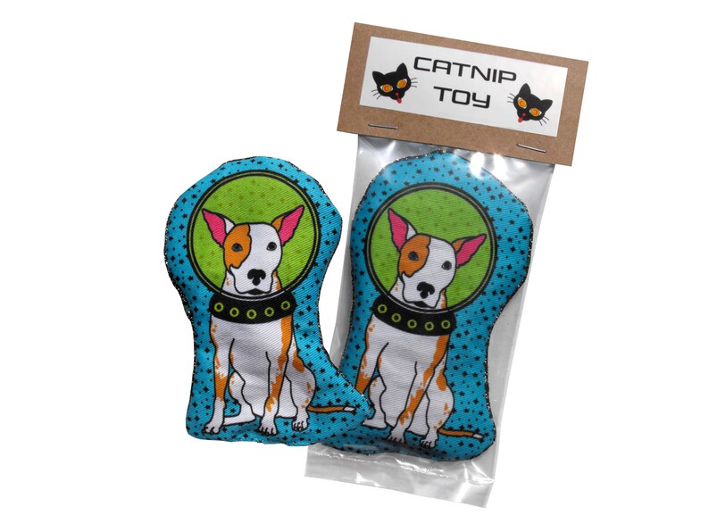 Catnip Toy Dog in Space / Cat Toy / Cat Gift / Catnip Kicker / Cute Cat Pillow Astronaut Dog / Cool Gift Cat Lover Pets Kitty Toys Astro image 1