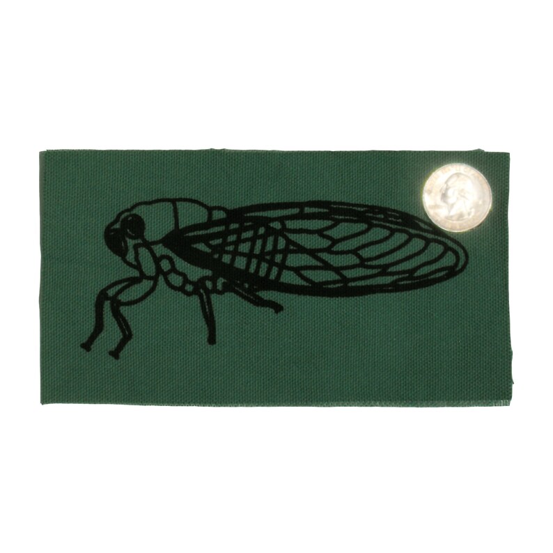May include: A green fabric patch with a black silhouette of a cicada insect. The patch has a silver button on the top right corner.