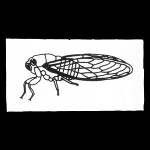 May include: A black and white line drawing of a cicada insect with detailed wings.