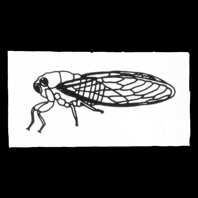 May include: A black and white line drawing of a cicada insect with detailed wings.