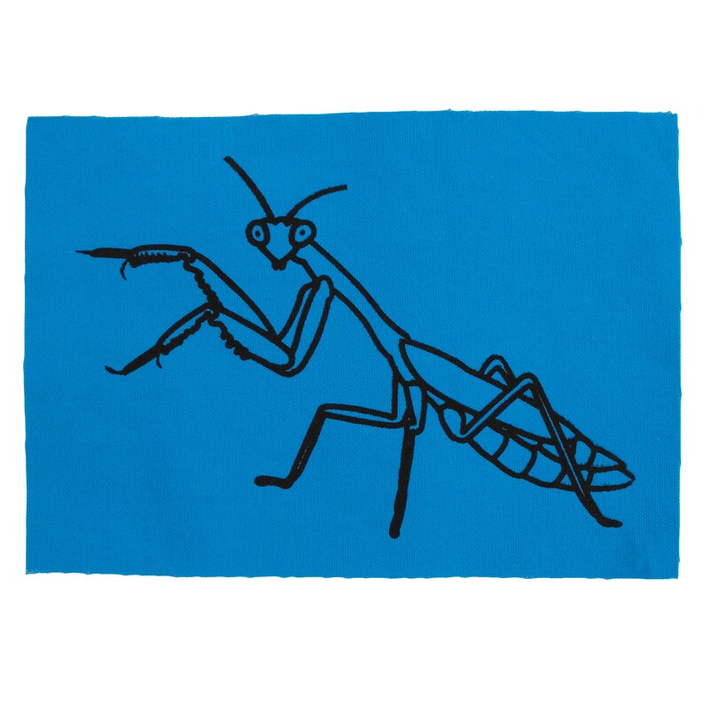 Op de afbeelding: Een zwarte lijntekening van een bidsprinkhaan op een felblauwe achtergrond.