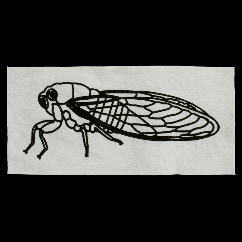 Puede incluir: Dibujo en blanco y negro de una cigarra sobre un fondo blanco.