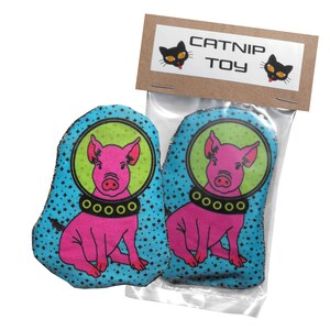 May include: Two blue and green catnip toys shaped like a pig wearing a space helmet. The toys have a black and white star pattern and the text "CATNIP TOY" is on the packaging.