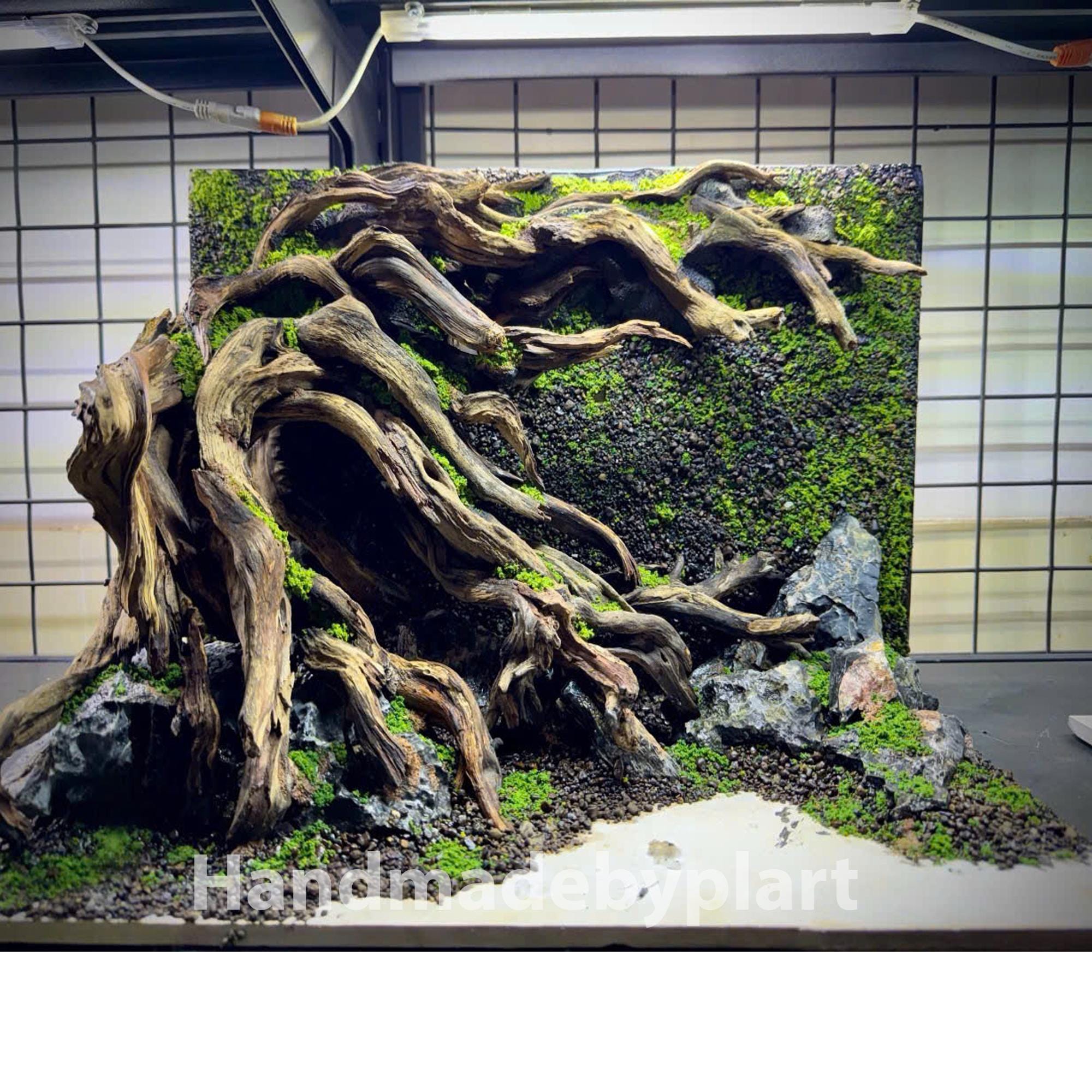 Aquarium Freshwater Hardscape Australia