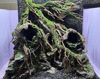 Diseño paisajístico artesanal para acuarios con temática de bosque, madera flotante natural y piedra.