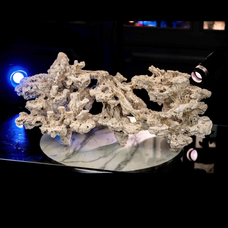 Reef Tank Rockscape Design Saltwater Aquarium Layout | Marine Aquascape Decor | Tank Rockscape ...