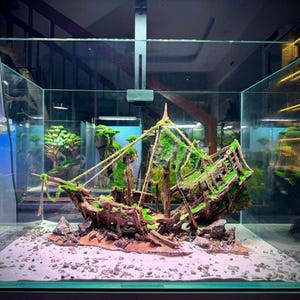 Peut inclure: Un ornement d'aquarium décoratif représentant une épave de navire en bois vieilli, recouverte de plaques de mousse vert vif. Le navire est posé sur un substrat sablonneux clair avec des roches sombres, placé dans un réservoir en verre transparent.