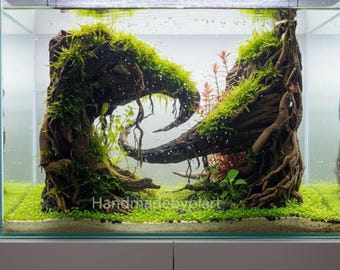 Diseño de acuario artesanal con elementos decorativos, ambientación acuática inspirada en un bosque de madera flotante natural.