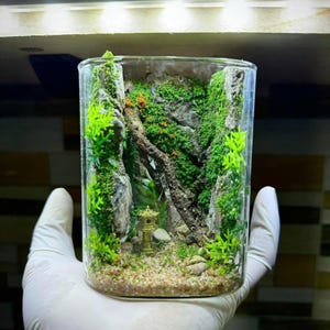 Full Terrarium Decoration, Water Garden, birthday gift for Nature Lovers, Glass Plant Aquarium Set, water plants, gift for him, holiday gift
