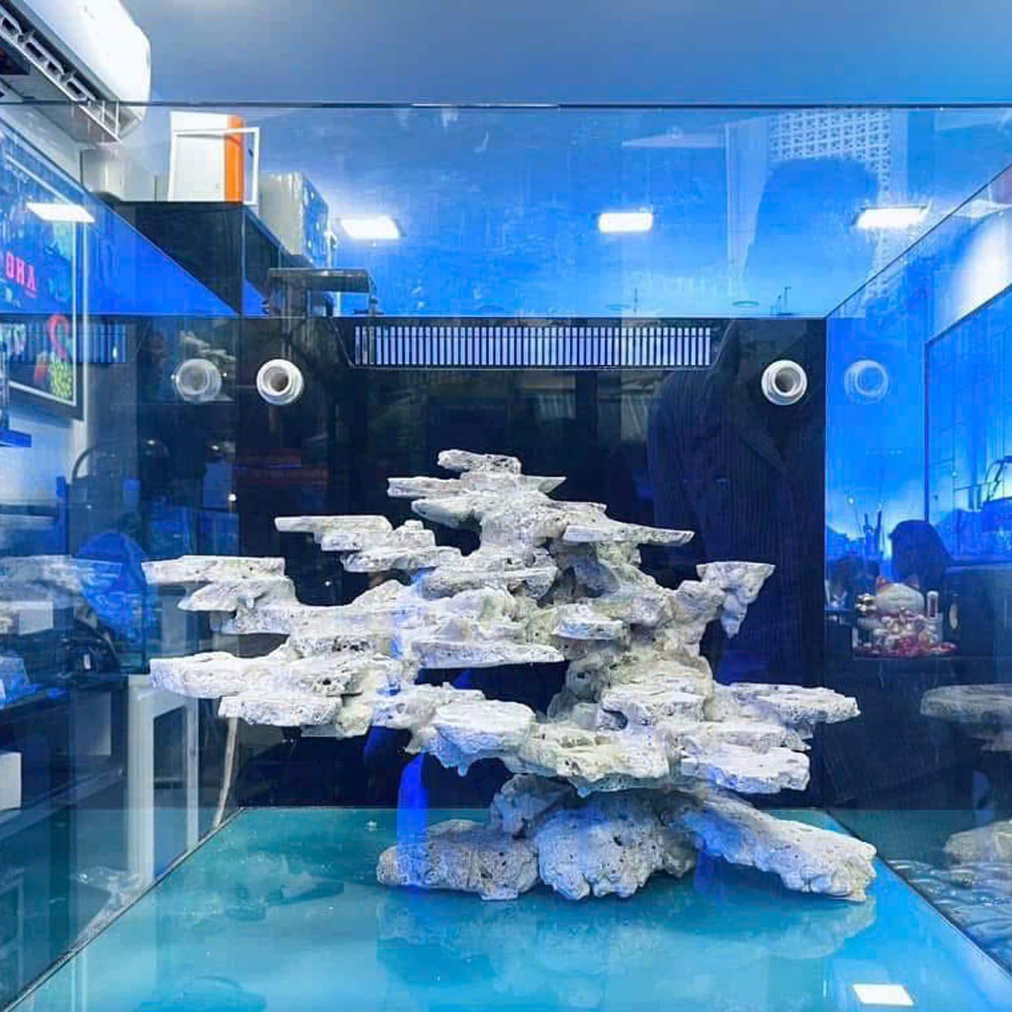 魚タンク人工植物の景観魚タンク装飾用テラリウムエビ滝の装飾品のための装飾 Amazon |  魚タンク人工植物景観魚タンク装飾水族館のためのテラリウムエビの草の飾り緑 | Ldbuejiaja | 人工水草 通販, image size:2000x2000