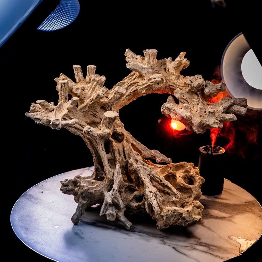 Reef Tank Rockscape Design Saltwater Bonsai Aquarium Layout | Marine Aquascape Decor | Tank ...