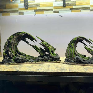 Aquascape aquarium, Aquarium decoration, Aquascape ideas,chrismat gift