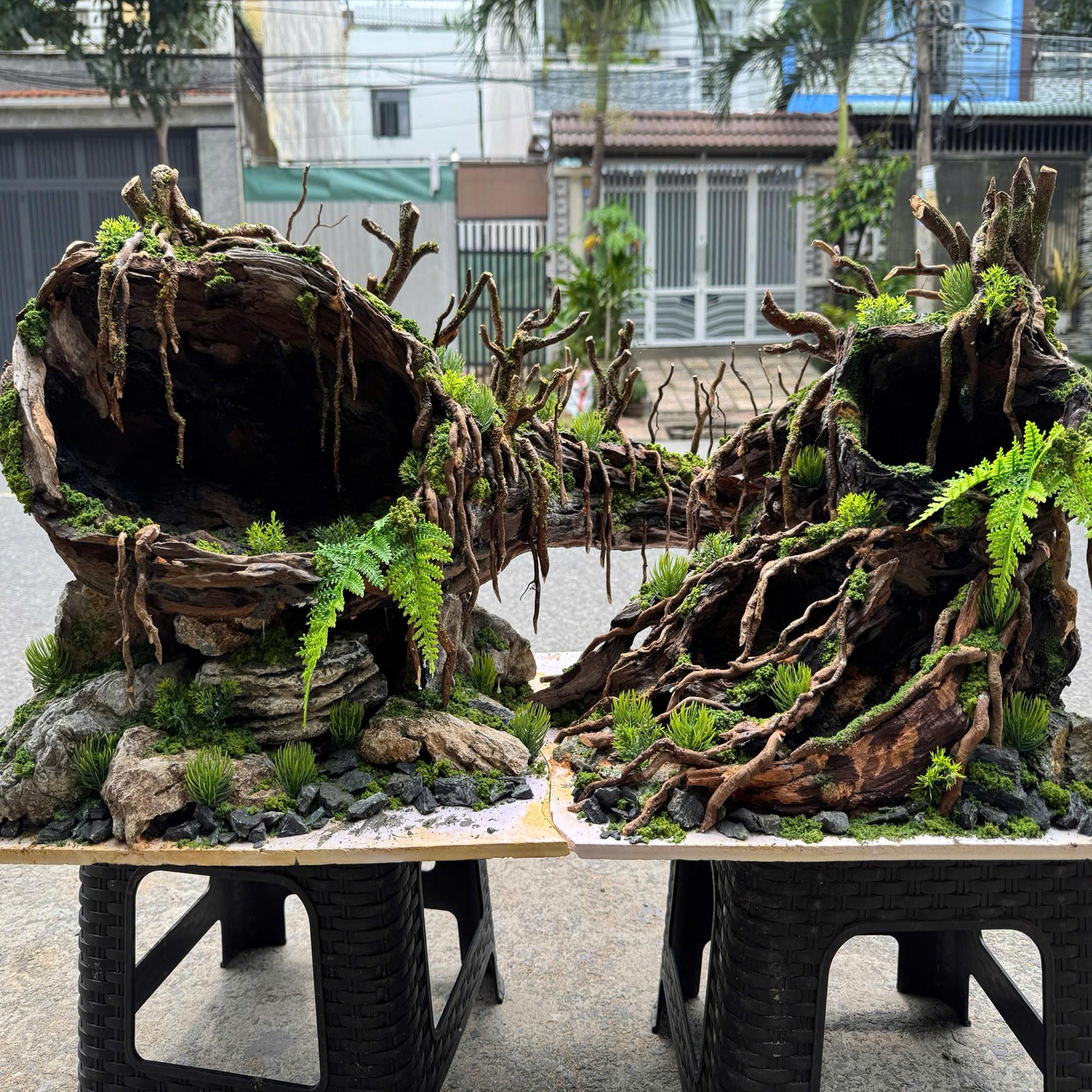 Aquascaping Ideas Australia