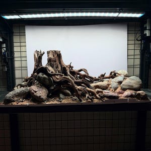 Aquarium Hardscape, Driftwood and Rock Aquascape, Paludarium Decor