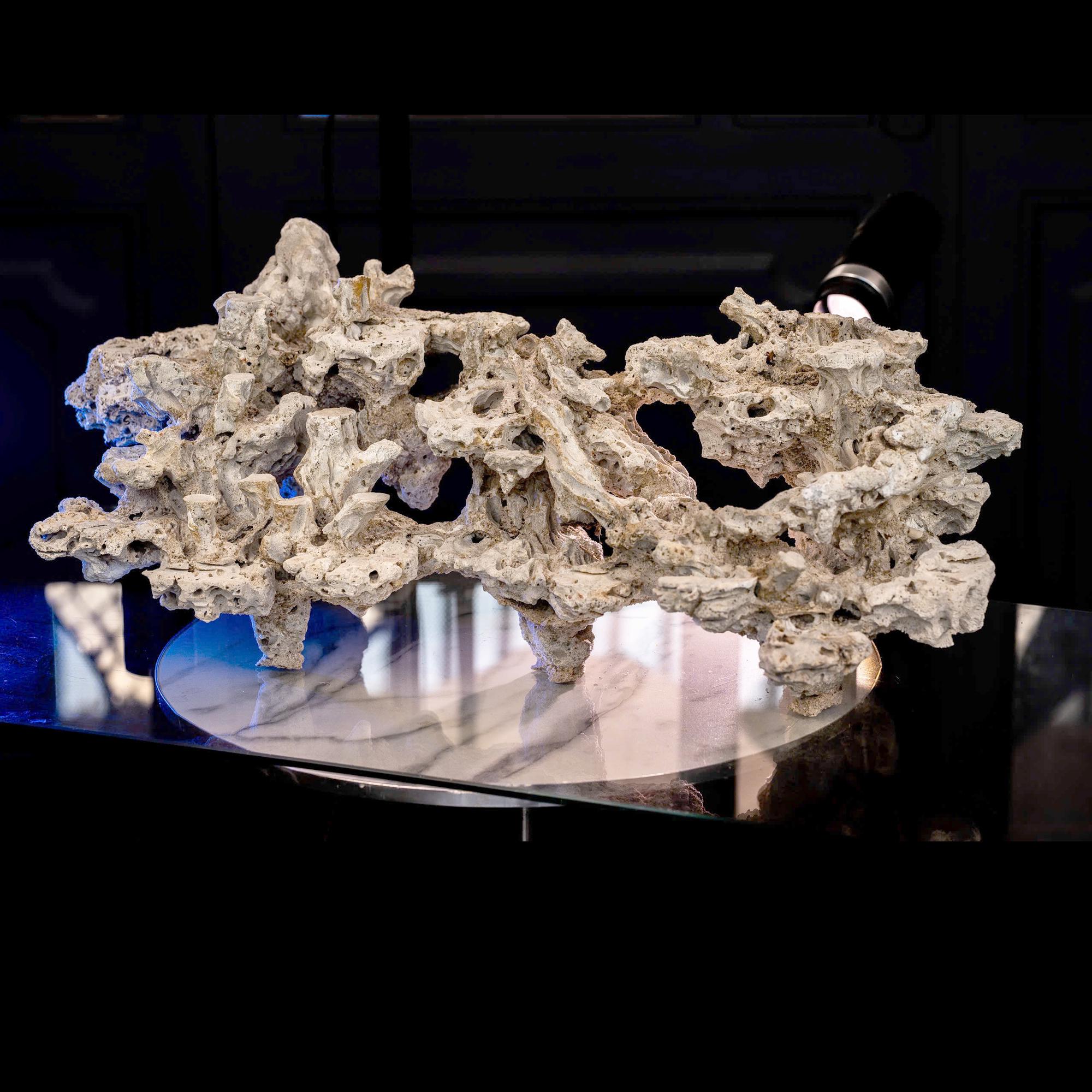 Reef Tank Rockscape Design Saltwater Aquarium Layout | Marine Aquascape Decor | Tank Rockscape ...