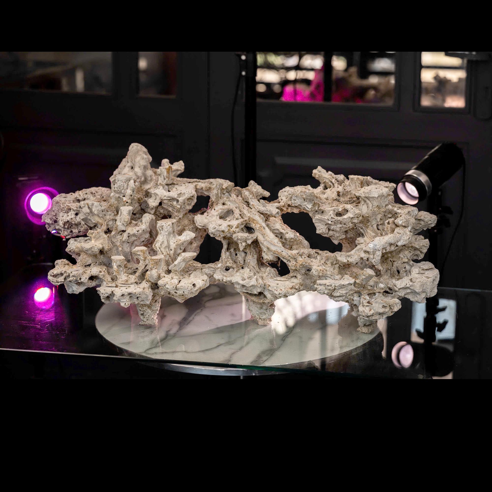 Reef Tank Rockscape Design Saltwater Aquarium Layout | Marine Aquascape Decor | Tank Rockscape ...
