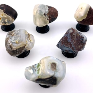 Może przedstawiać: Sześć polerowanych kamieni agatowych w różnych kształtach i kolorach, każdy zamontowany na małym czarnym stojaku. Kamienie prezentują mieszankę brązowych, białych, szarych i żółtych odcieni, z unikalnymi wzorami i teksturami. Idealne do dekoracji domu lub kolekcjonowania.